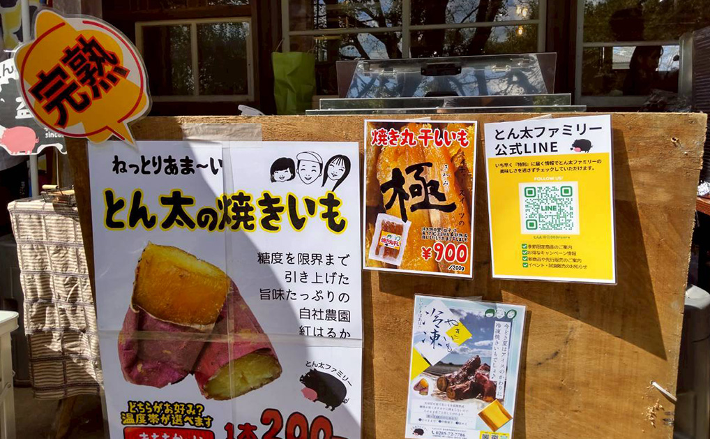 nioki with AMKUPi（ニウーキ ウィズ アムクピ）　金子朱々佳