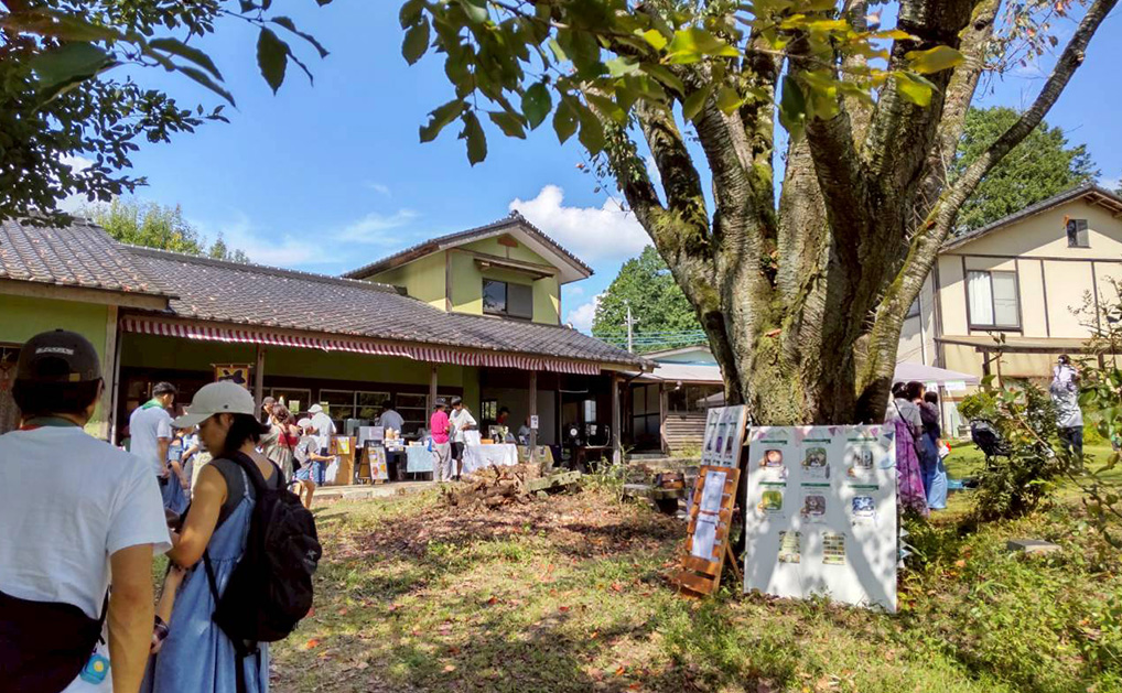 nioki with AMKUPi（ニウーキ ウィズ アムクピ）　金子朱々佳