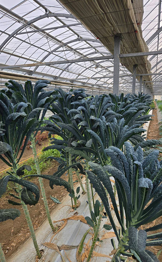 益子のスープ屋Trois（トロワ） 　吉田祐幸