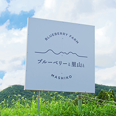 ブルーベリーと里山と